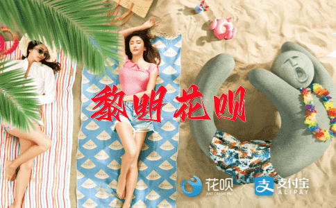 坦白从宽花呗
